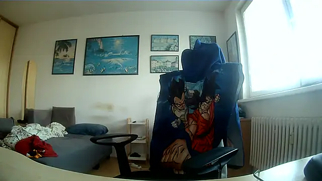 Robert_SK1 webcam