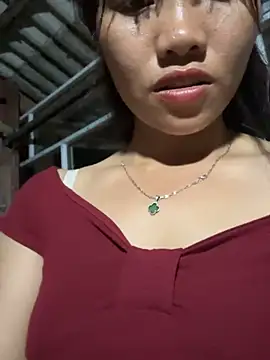 Havana- webcam