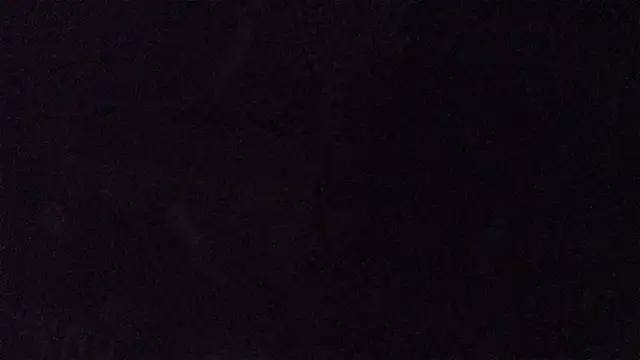 BellaSink webcam