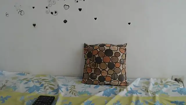 RoosePaarker webcam