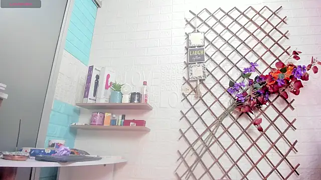 SALOME_KORLAND webcam
