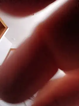 gladieitore