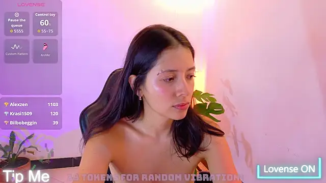 Sarasavage webcam