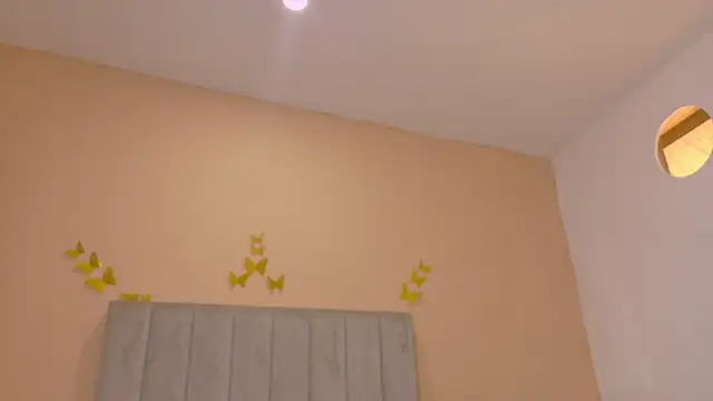 Nascary_Fox webcam