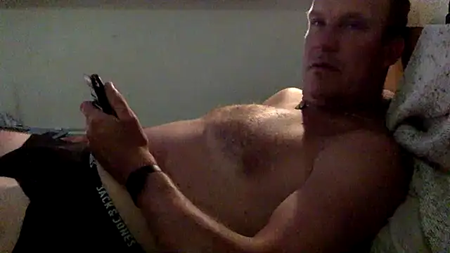dlvis12 webcam