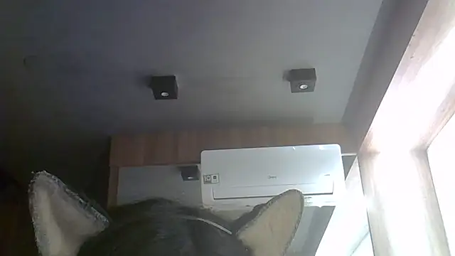 SkinnyKitten webcam