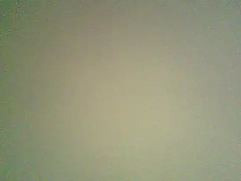 Yalamania webcam