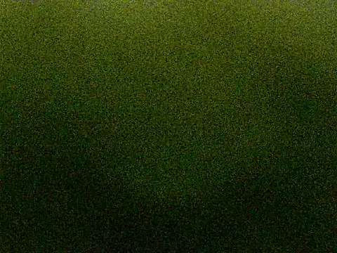 roadies webcam