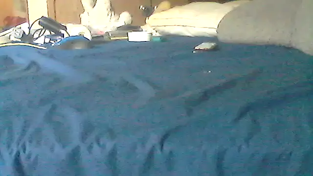 Silencio26 webcam