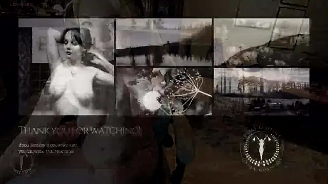 Borealisatelier webcam