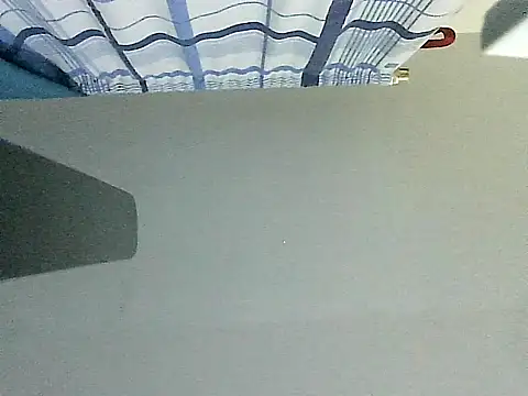 thomas2wood webcam