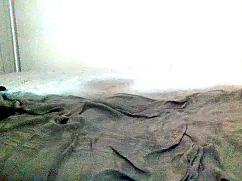 Lunamew webcam