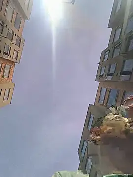 Tiger_cryad webcam