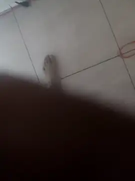 davidflz95 webcam