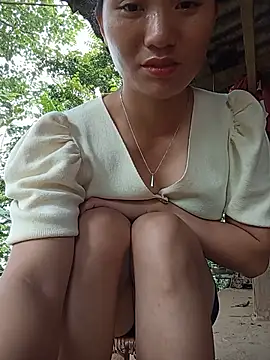 Td3di webcam