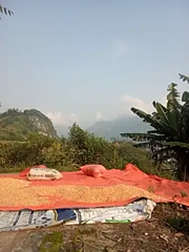 Heryy_xx webcam