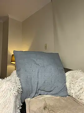Samispank webcam