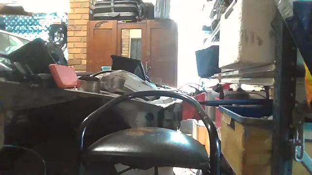 Lovyourpuss webcam