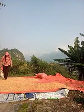 Heryy_xx webcam