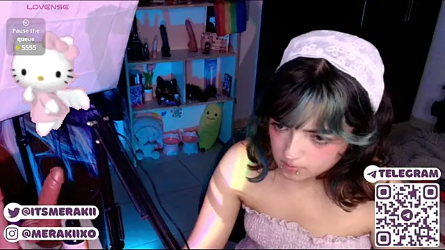 meraki_fraise webcam