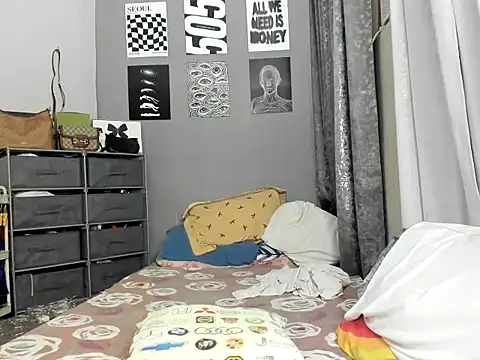 hipakera webcam