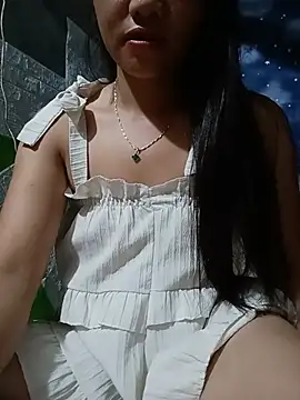 Havana- webcam