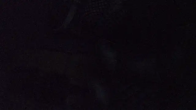 BellaSink webcam
