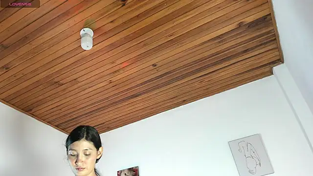 MiaX12 webcam