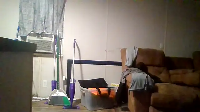 Blu334 webcam