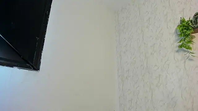 boys_roomhard webcam