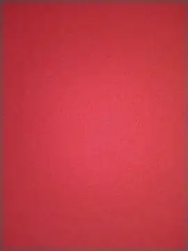 robepretoxeso webcam