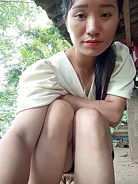 Td3di webcam