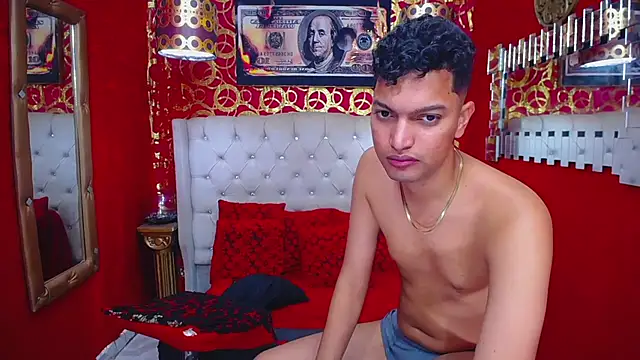 PEINBOYS webcam