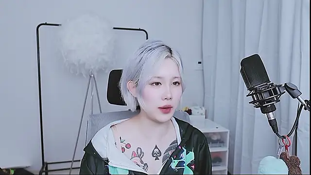 MISA_02 webcam