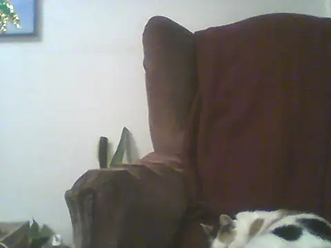 Bebita-zmp webcam