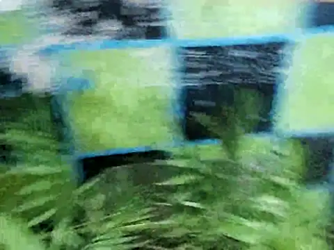 AngelMisterious webcam