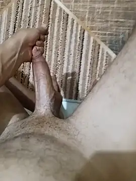 EgyptianHorse webcam