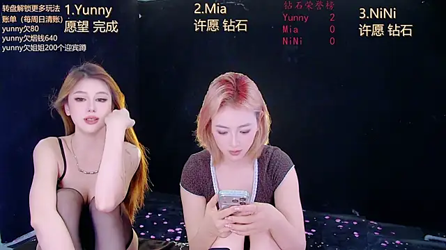 MiNi-U webcam