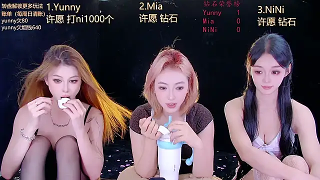 MiNi-U webcam