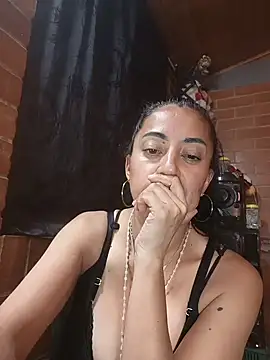 Alexandrina webcam