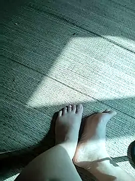 -Tara-a webcam