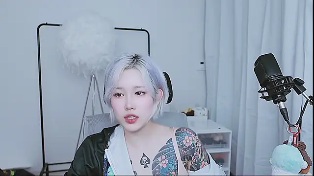 MISA_02 webcam