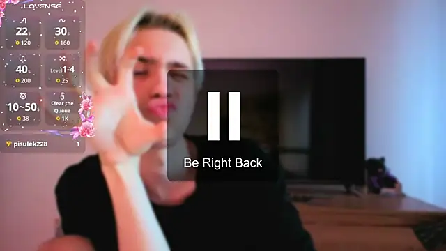 skibatryanka webcam