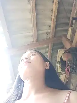 Liss-mimi webcam