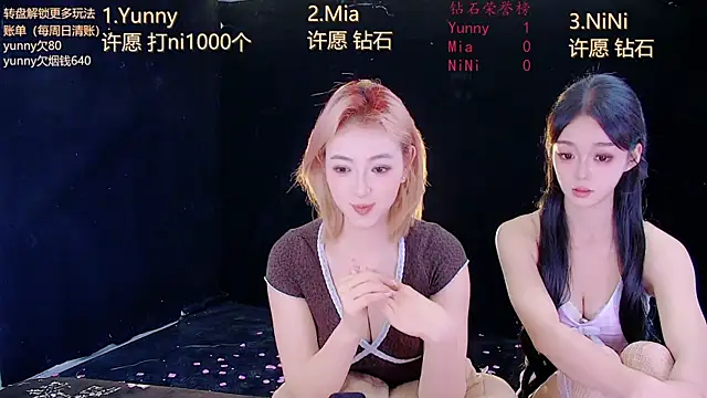 MiNi-U webcam