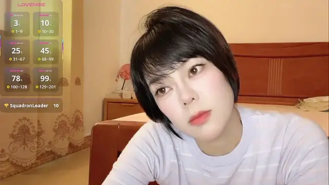Linda-LL webcam