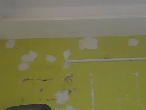 Stubborndesiboy webcam