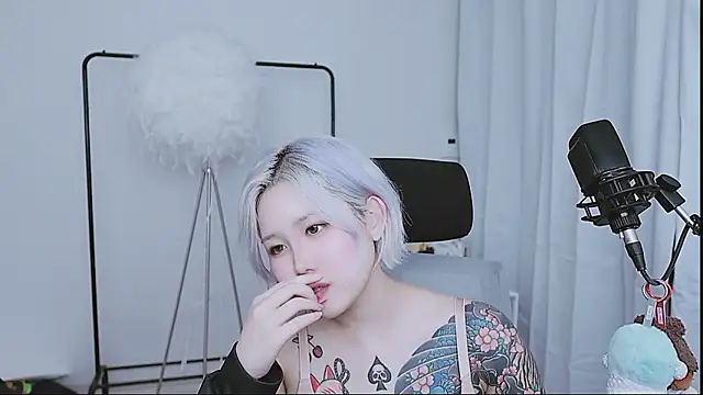 MISA_02 webcam