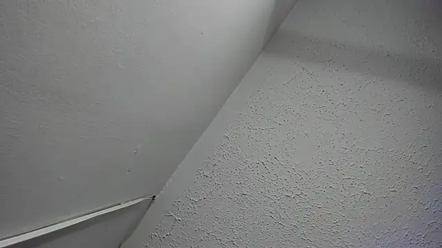 Honey__kiss webcam