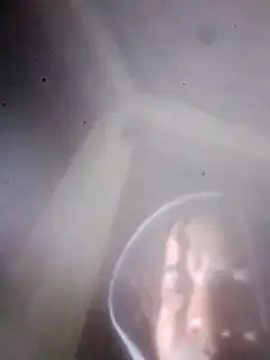 R-ant12 webcam